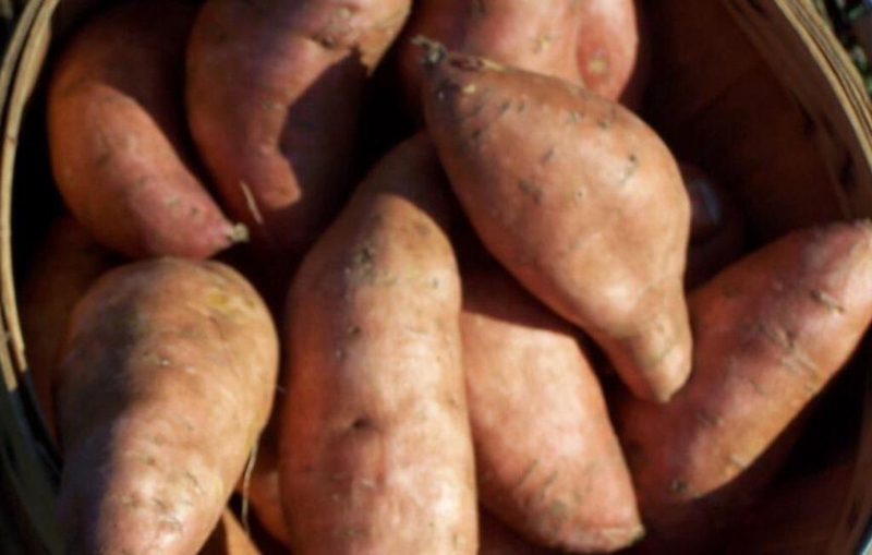 Sweet Potatoes